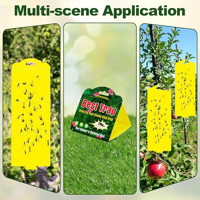 Qualirey 20 Pcs Yellow Sticky Traps for Indoor and Outdoor, Fruit Fly Sticky Gnat Strips Hanging Foldable Traps 4.2 x 11.2 Inch for Fruit Insect Fungus Bugs