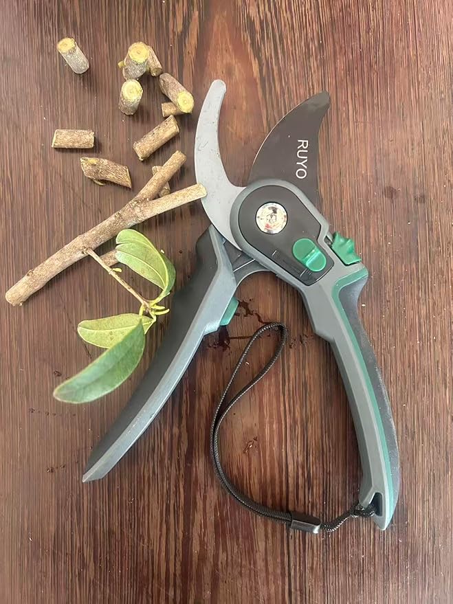 Bypass Pruning Shears, 3/4-Inch Cut Capacity Garden Clippers, Gardening Scissors with Sharp, Rust Resistant Steel Blade (Black, 3/4'')