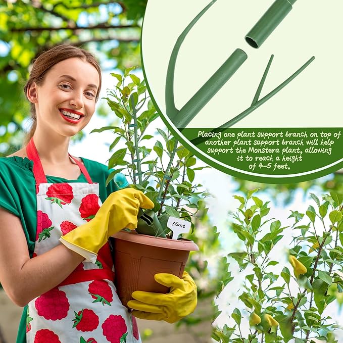 5 Pack Stackable Monstera Support Twig Plant Stakes, Plant Support Stakes for Indoor Outdoor Plants Holder Sticks for Climbing Plants Monstera Pothos Philodendron