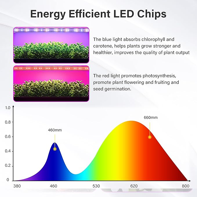 iPower LED Plant Grow Light Strips Full Spectrum with 3 Timing Modes, 10 Dimmable Levels 48 LEDs Per Tubes, Sunlike Grow Lamp for Hydroponics Succulent, 4 Tubes, Red & Blue