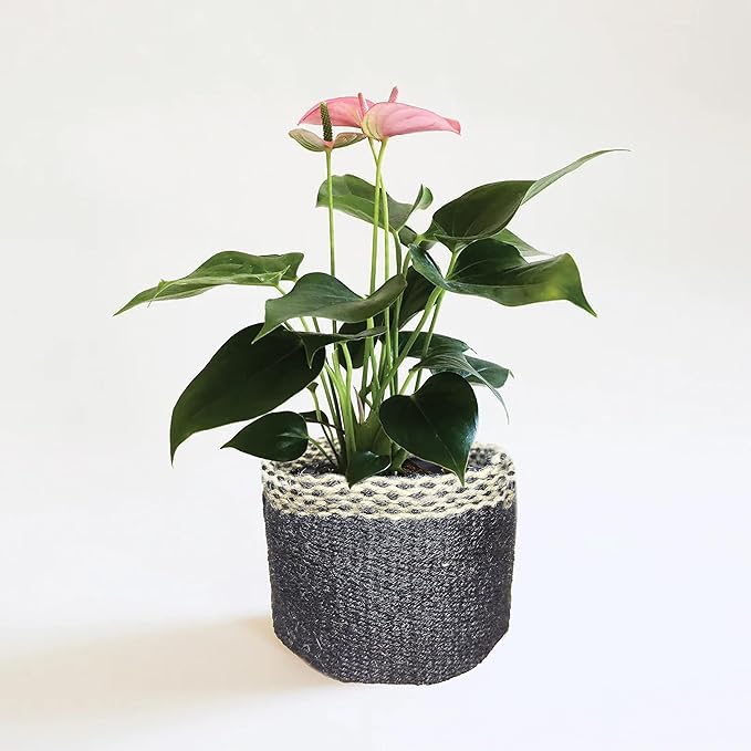 Plant Pots, Planters Indoor Plant Pot for All Home Garden Flowers Succulents Modern Round Decorative Flower Pot Indoor (Pot Style 15)