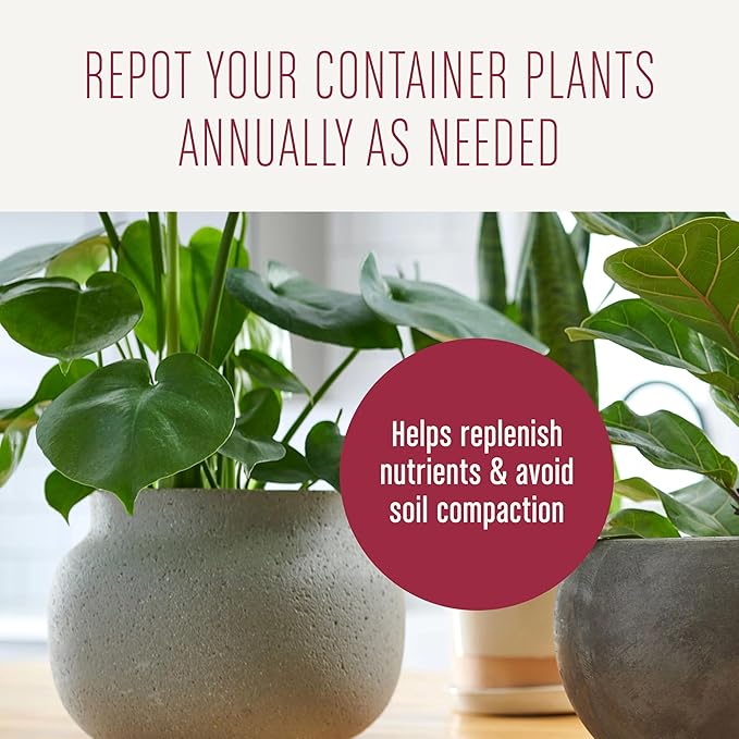Miracle-Gro Houseplant Potting Mix - Fertilized Indoor Plant Soil for Containers, Designed to be Less Prone to Gnats, 4 qt.