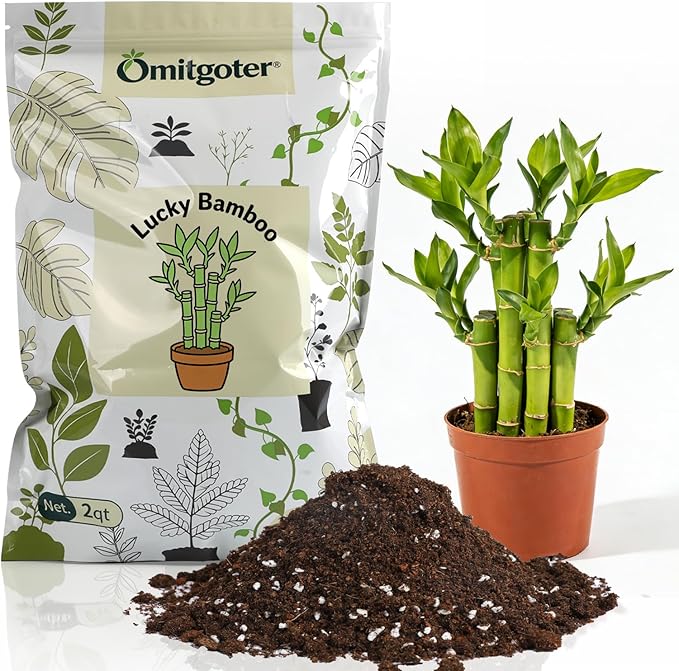 Pure Natural Potting Soil for Lucky Bamboo Plants 10qt- Superior Drainage & Breathability, Ideal Indoor Plant Soil