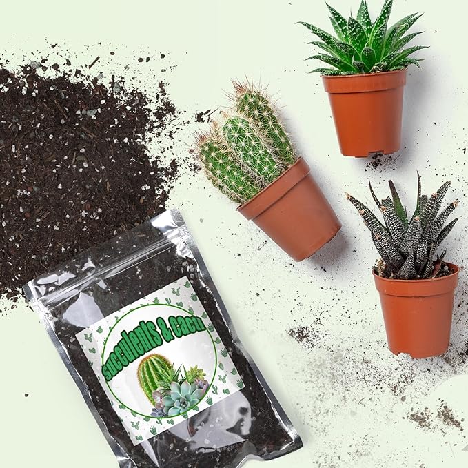 Doter Cactus & Succulent Soil Mix 4qt, Chunky Well-Draining Soil for Indoor Plants - Spike & Bloom