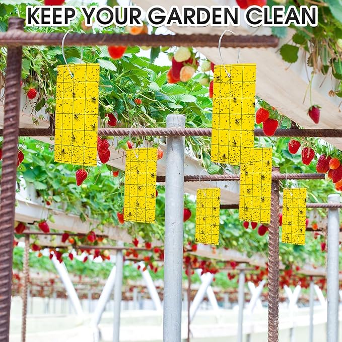 Qualirey 100 Sticky Trap for Gnats 3 x 5'' Dual Side Sticky Fruit Fly Trap with Tie Plant for Flying Insect Fungus Bugs Flying Catcher for Indoor (Yellow)