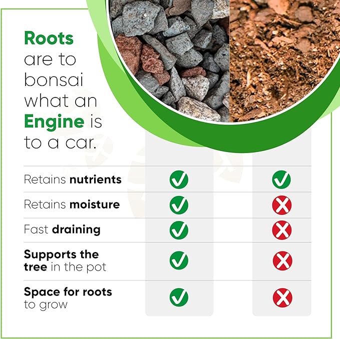 Bonsai Outlet Bonsai Soil Mix - Tinyroots All Purpose Bonsai Soil Mix Ready to Use Blend, Used for All Varieties of Bonsai Trees, 2.5 Gallons