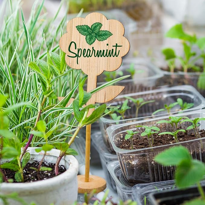 Whaline 60 Pcs Flower-Type Wood Plant Labels with 1 Marker Pen Wooden Plant Sign Tag Garden Marker Decorative Garden Tags for Seed Potted Herbs Flowers Vegetables, 2 x 3.9 Inch