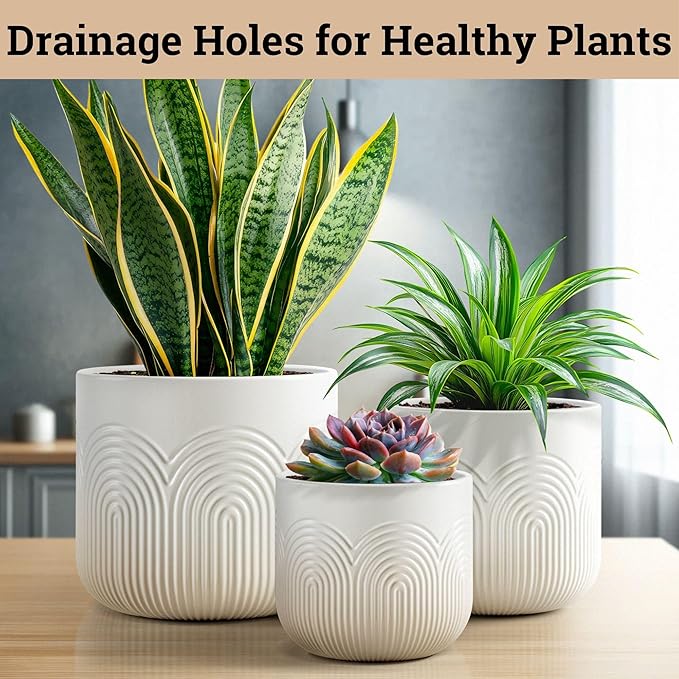 Ceramic Pots for Plants Set of 3 Sizes - 6, 5, 4 Inch Diameter Plant Pots with Drainage Holes - Ceramic Planters for Indoor Plants - Decorative Flower Pot - Plant Pot with Drainage - Indoor Planter