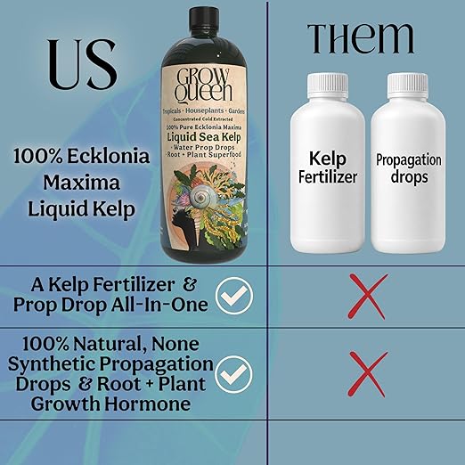 Organic Liquid Kelp & Seaweed Extract Prop Drop (Ecklonia Maxima) – Root + Plant Growth Hormone & Root Plant Food for Water Propagation, Hydroponics & Soil – 16oz 120 Gallons