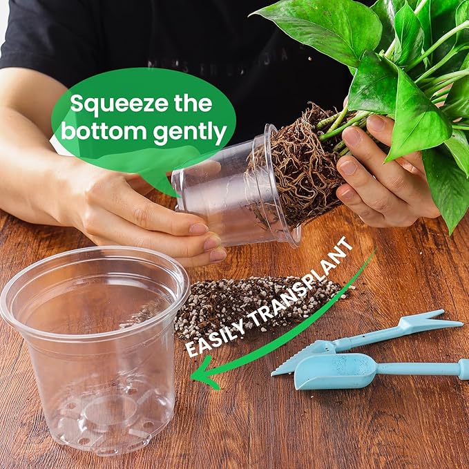 Bluepro 36 Packs 7/5/4/3.5 Inch Reinforced Clear Nursery Pots with Drainage Hole, Transparent Variety Pack Plastic Plant Pot Seedling Planter for Vegetable Propagation, Root Cutting, Seed Starting