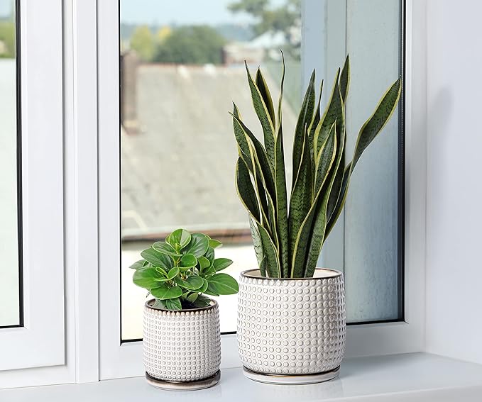 D'vine Dev 8 Inch 6 Inch Ceramic Indoor Planter Pots with Drainage Hole and Saucer, Beaded Design Flower Pots, Set of 2, Smoked White, 27-D-P-1