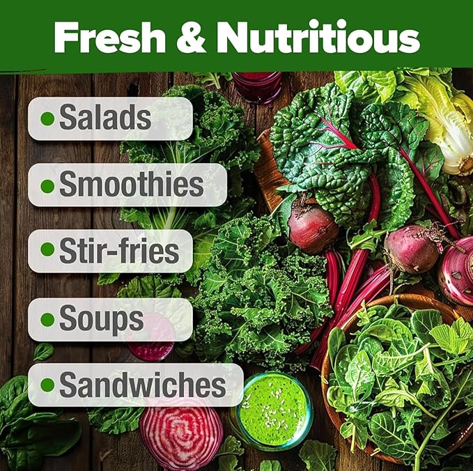 HOME GROWN 20 Variety Lettuce Seeds 21,700+ Bulk Pack Heirloom Non-GMO High Germination, Romaine, Butterhead, Spinach, Kale, Iceberg, Continuous Harvest Indoor Outdoor Hydroponic Garden (20 Varieties)