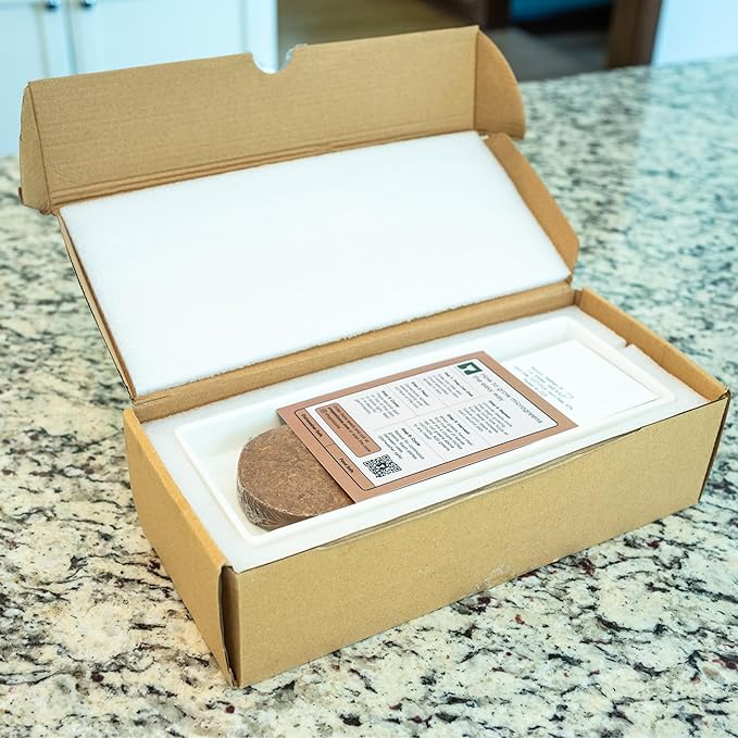 mizuna Microgreens Growing Kit — 2 Ceramic Trays, Coconut Coir & Seeds | Indoor Windowsill Grow Kit | Gift for Plant & Food Lovers