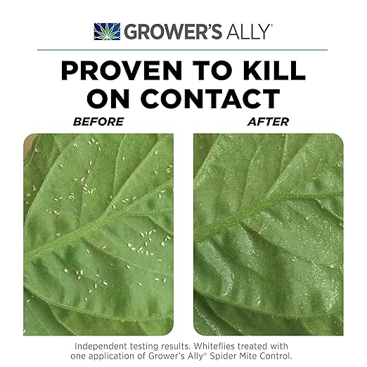 Grower's Ally Spider Mite Control Concentrate - Natural Insecticide & Spider Mites Killer for Plants Indoor & Outdoor - OMRI Listed Garden Pest Control - Bee, Pet & Kid Safe - 8 Oz, Makes 25 Gallons