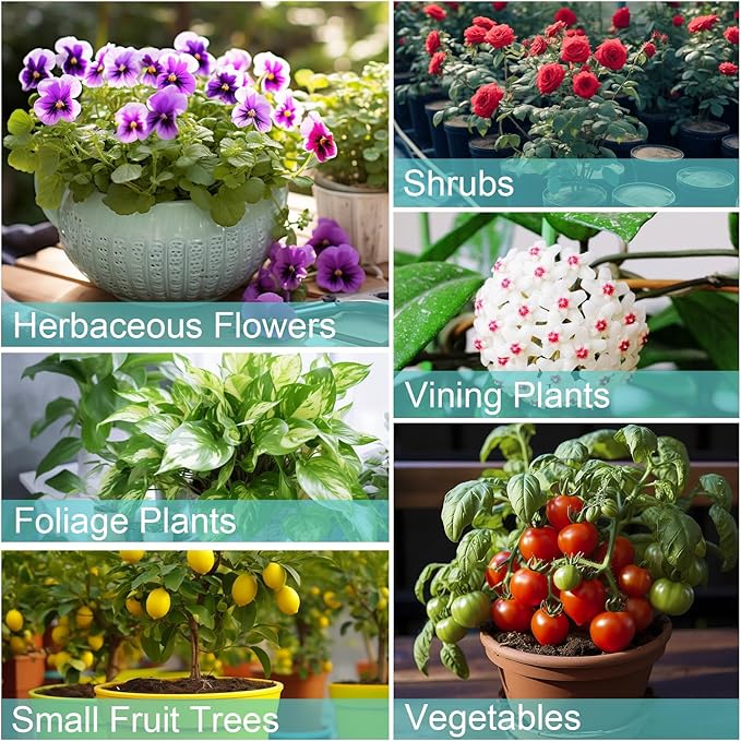 Potting Soil Mix 1qt for Indoor Plants, Organic Houseplant Soil Well Draining Dirt Ready to Use, Fit for House Plant Like Pothos, Philodendron, Monstera, African Violet