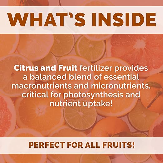 Bloom City's Organic Citrus & Fruit Fertilizer for Fruit Trees - Citrus Tree Fertilizer for Potted Trees - Perfect Lemon Tree Fertilizer, Gallon (128 oz)