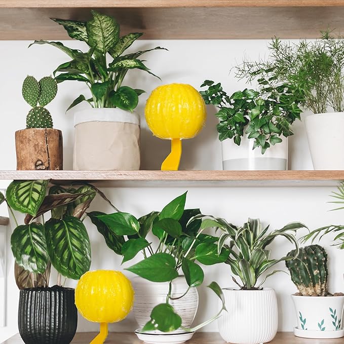 Qualirey 10 Set Sticky Fruit Fly Trap Balls Yellow Adhesive Fungus Gnat Sticky Balls for Plants Fly Catching Sticky Balls Indoor Outdoor Garden Kitchen Fly Gnat Flying Insects Trap Ball Traps