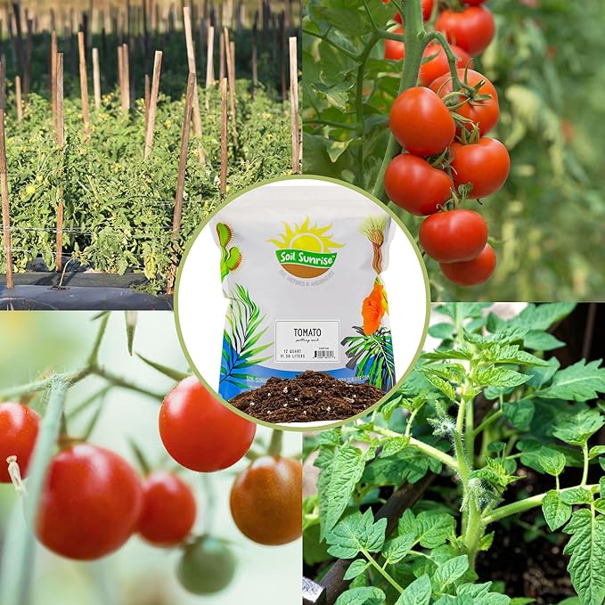 Soil Sunrise All Natural Tomato Starter/Potting Mix (12 Quarts) Perfect Backfill for Outdoor Tomato Plant Holes, Hand Blended with Natural Ingredients Including Worm Castings