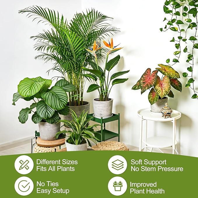 24PCS Plant Stem Support, 4-Size Stem Supports for Indoor Plants, Reusable Monstera Plant Support for Thriving Growth, Indoor Plants Accessories