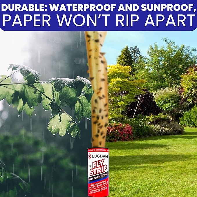 Fly Strips Indoor Sticky Hanging 10pk with Pins. Non Toxic Outdoor Fly Trap Indoor for Home. Flies Tape Paper Trap Ribbon Roll for House Gnat Fruit and Housefly. Bug Catchers for Inside Home Flypaper.