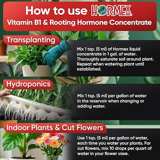 Hormex Rooting Hormone Concentrate with B1 – Root Growth Stimulator for Stronger, Thriving Plants - Prevents Transplant Shock - Hydroponics, Houseplants, Gardens, Trees, Fruits and Vegetables - 4oz