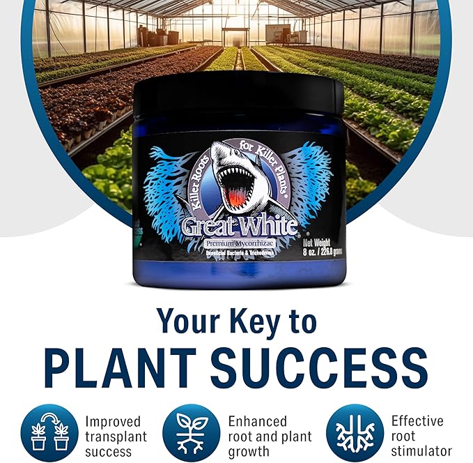 Great White Mycorrhizal Fungi, Beneficial Bacteria for Plant Growth, Root Stimulator, Concentrated 3-in-1 Formula by Plant Success (5 lb)