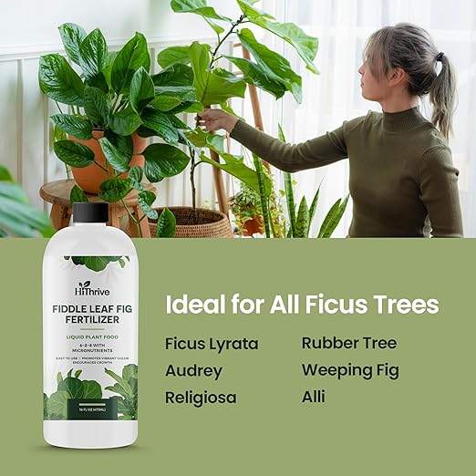 16oz Fiddle Leaf Fig Plant Food - Makes 96 Gallons of Fertilizer, Liquid Houseplant Fertilizer for Ficus Plants, Ideal Fiddle Leaf Fertilizer, 6-2-4 NPK Ficus Plant Food for Strong, Healthy Growth