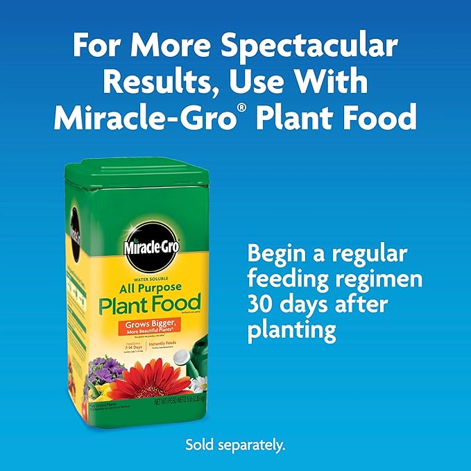 Miracle-Gro Moisture Control Potting Mix - Plant Soil For Container Plants, Protects against Over- and Under-Watering, 8 qt. (3-Pack)