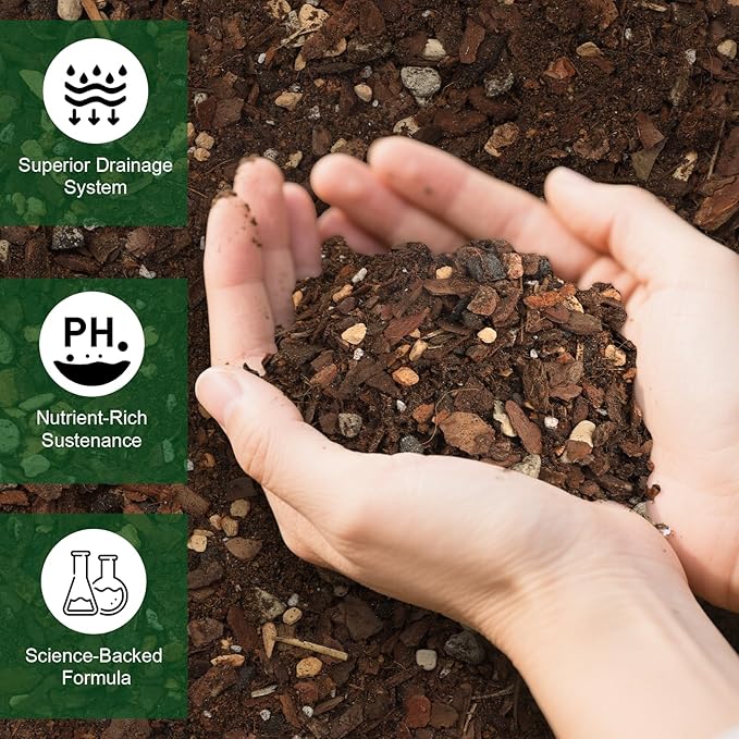 Doter Premium Bonsai Soil Mix with Enhanced Aeration & Drainage 2qt - Professional Grade Potting Soil for Bonsai Pots