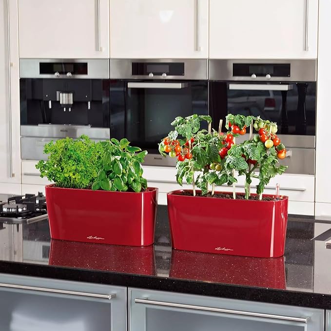 Lechuza Delta 10 Scarlet Red High Gloss, Self-Watering Planter Indoor, H5.1 L11.8 W4.3 in