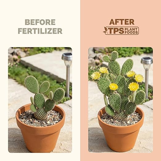 Cactus Fertilizer – Liquid Plant Food for All Cacti, Supports Healthy Cactus Growth & Blooming, 32 oz