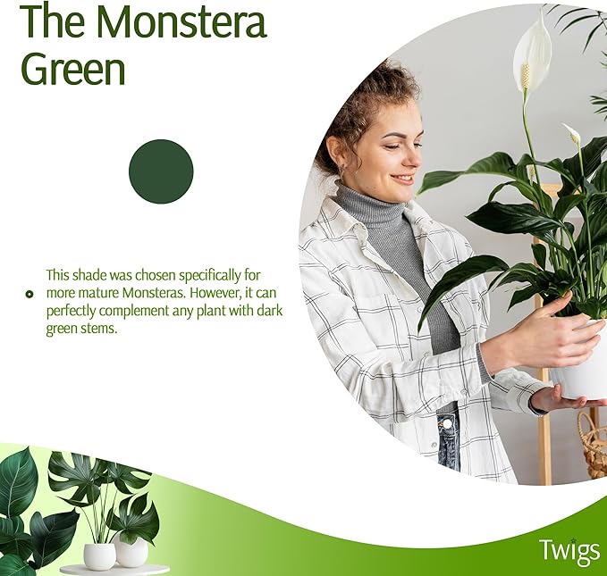 Twigs GA - Stackable Plant Support Stakes, Indoor & Outdoor Houseplant Stem Support, Garden Accessories, Trellis Alternative for Climbing & Potted Plants - Monstera (Dark Green), 10 Pack, 17" L
