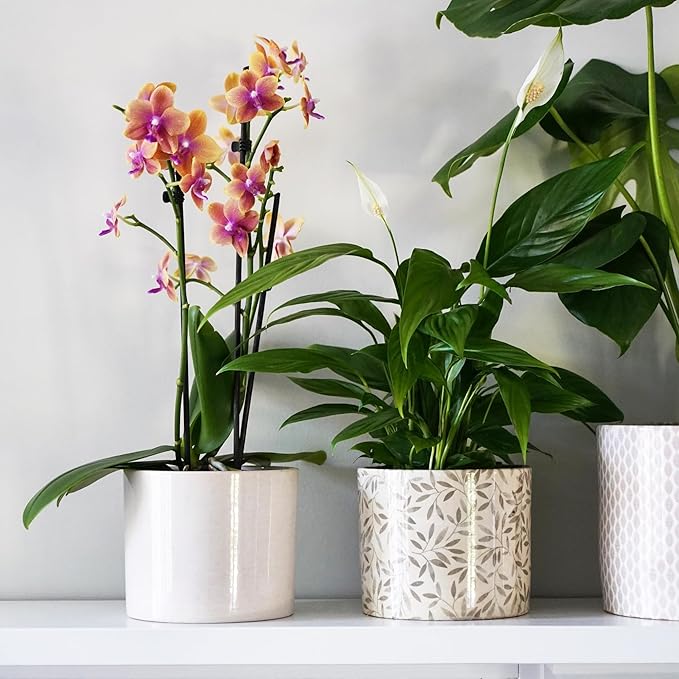 Ivyline Planter, Ceramic, Sage Foliage, 16 x 18cm