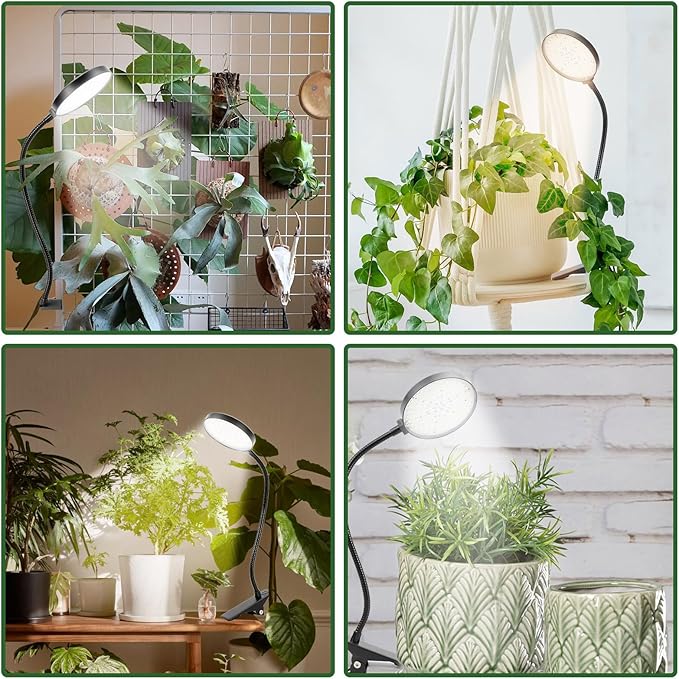 Indoor Plant Grow Light, 6000K Full Spectrum LED, Auto On/Off Timer, 9 Dimming Levels, 360 Adjustable Gooseneck, Modern Style, Black