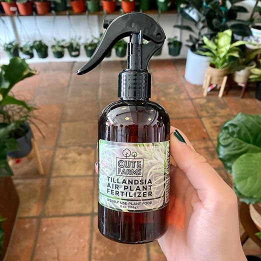 Cute Farms Tillandsia Air Plant Fertilizer | Gentle Weekly Use Formula Plant Food | Formulated Nutrients for Air Plants (8 oz. Spray Bottle + ONE Fine Mist Water Sprayer)