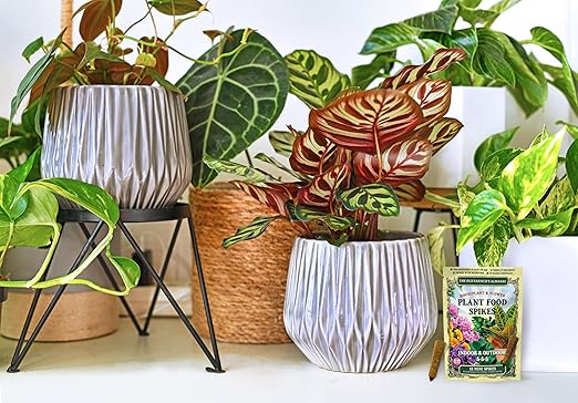 The Old Farmer's Almanac Houseplant & Flower Plant Food Mini Spikes - NPK 5-5-5 for Continuous Feeding and Vibrant Colors (12 Mini Spikes)