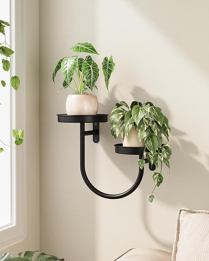 Bamworld Wall Planters for Indoor Plants Wall Plant Holder Plant Wall Shelves Metal Hanging Planters for Indoor Plants Window Plant Shelves Plant Hanger Indoor Plant Decor Black