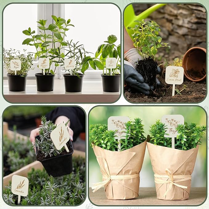 Leinuosen 30 Pcs Wooden Plant Labels Herb Markers Garden Labels with Printed Herb Name Herb Tags Wood Garden Stakes for Indoor and Outdoor Potted Seed Herbs