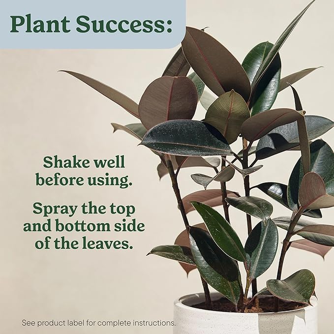 Miracle-Gro Plant Care Leaf Protect and Shine, 4-in-1 Insecticide, Miticide, Fungicide and Leaf Shine Spray for Indoor Plants, 8 fl. oz., 2-Pack