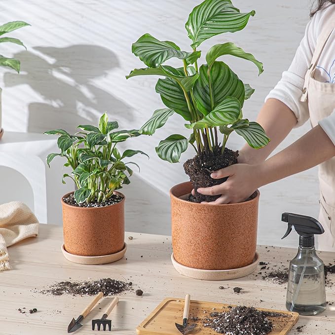 8 Inch Plant Pot: Ceramic Planter with Drainage Hole & Saucer - Flowerpot for Indoor & Outdoor Plants with Separate Tray for Home & Office - Terracotta