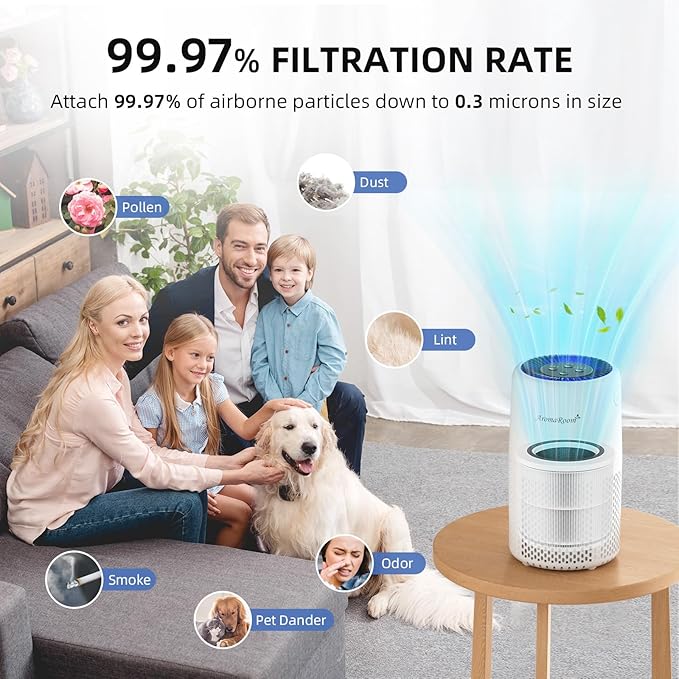 AromaRoom Air Purifier Filter for AP103 Air Purifier, 3-in-1 H13 True HEPA High-Efficiency Activated Carbon Filter, 2 Packs