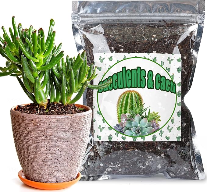 Doter Cactus & Succulent Soil Mix 2qt, Chunky Well-Draining Soil for Indoor Plants - Spike & Bloom