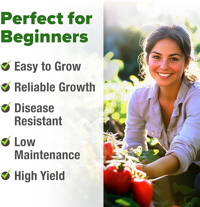 HOME GROWN San Marzano Tomato Seeds 132+ Heirloom Non-GMO Seeds for Planting, High Germination, Indeterminate Roma Paste Tomato, Meaty Low Acid, Best for Sauce & Canning (Solanum lycopersicum)
