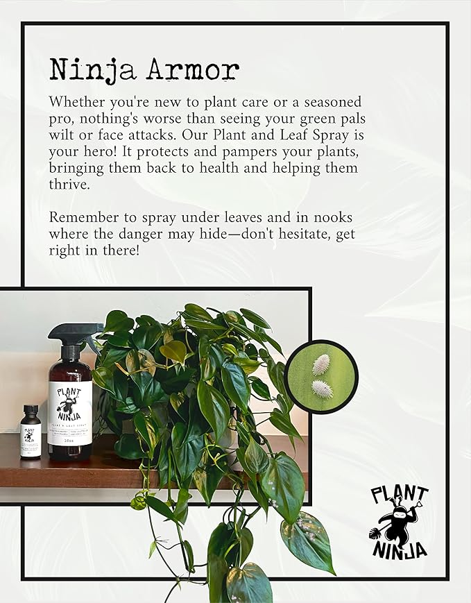 Plant and Leaf Spray, Refill Concentrate, Shine Enhancer for your Garden, Leaf Shine Spray for Indoor Plants, House Plants, Gardening Supplies, Plant Care, Citrus Scent, 1 Oz Concentrate