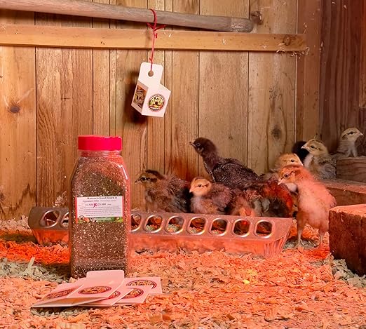 12,500 Live Hypoaspis Miles (Predatory Mites) For Insects - Guaranteed Live Delivery!