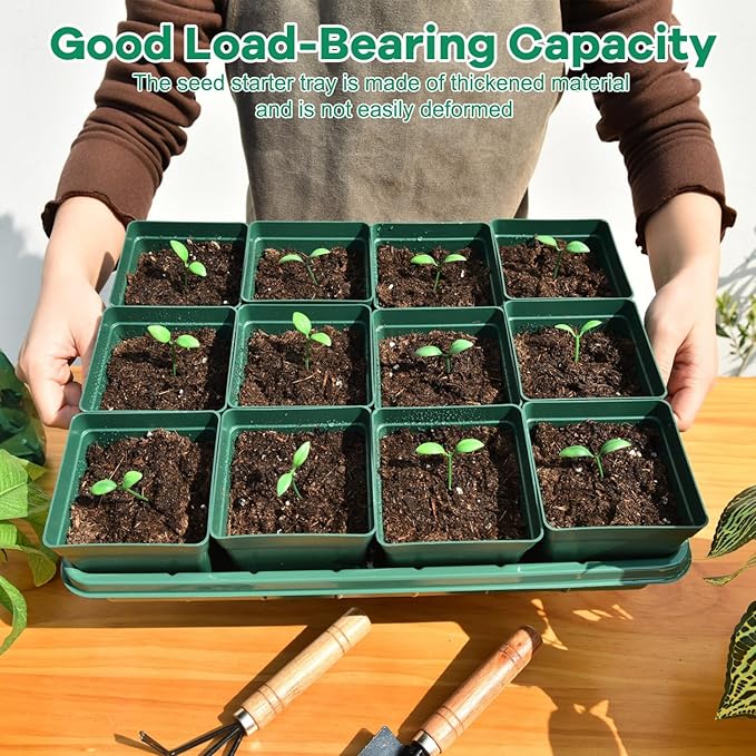 June Fox 60 Small Nursery Pots for Plants, 5 Seed Starter Tray Kit, 3.3 Inch Plastic Seedling Pots with Seedling Starter Trays, 60 Plant Tags (Green)