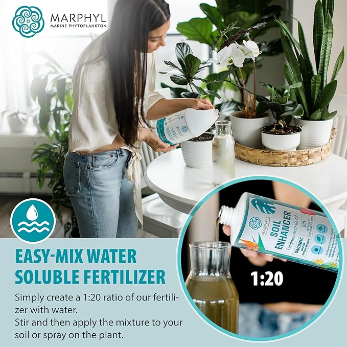 MARPHYL All-Purpose Plant Food – Organic Nutrient-Rich Fertilizer & Soil Enhancer for Indoor & Outdoor Flowers, Vegetables, Succulents, Bamboo & Hydroponics