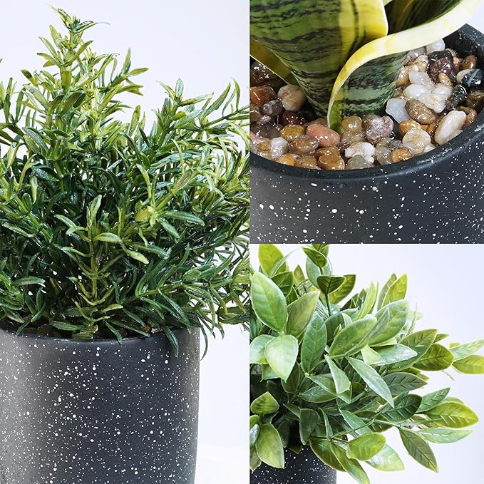 Winlyn 3-Pack Artificial Potted Succulent Plants - Aloe, Hops, String of Pearls - Realistic Faux Plants in Black Cement Pots - Modern/Contemporary Style - Ideal for Home Office Bathroom Indoor Decor
