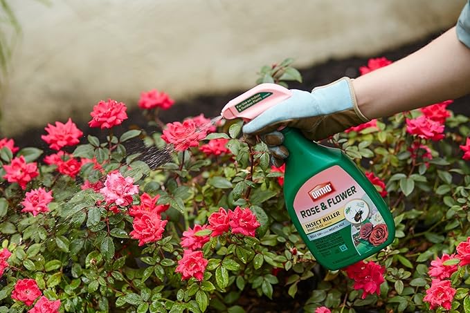 Ortho Rose and Flower Insect Killer, 24-Ounce