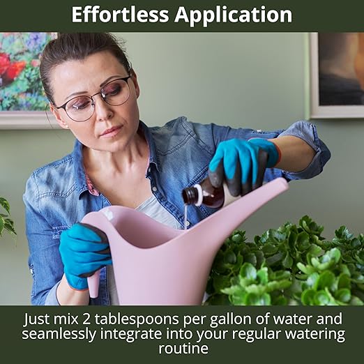 GARDENWISE 3-1-2 African Violet Fertilizer for Indoor Plants: Liquid Fertilizer with Essential Micronutrients Drops - Plant Food for African Violets (8 oz)